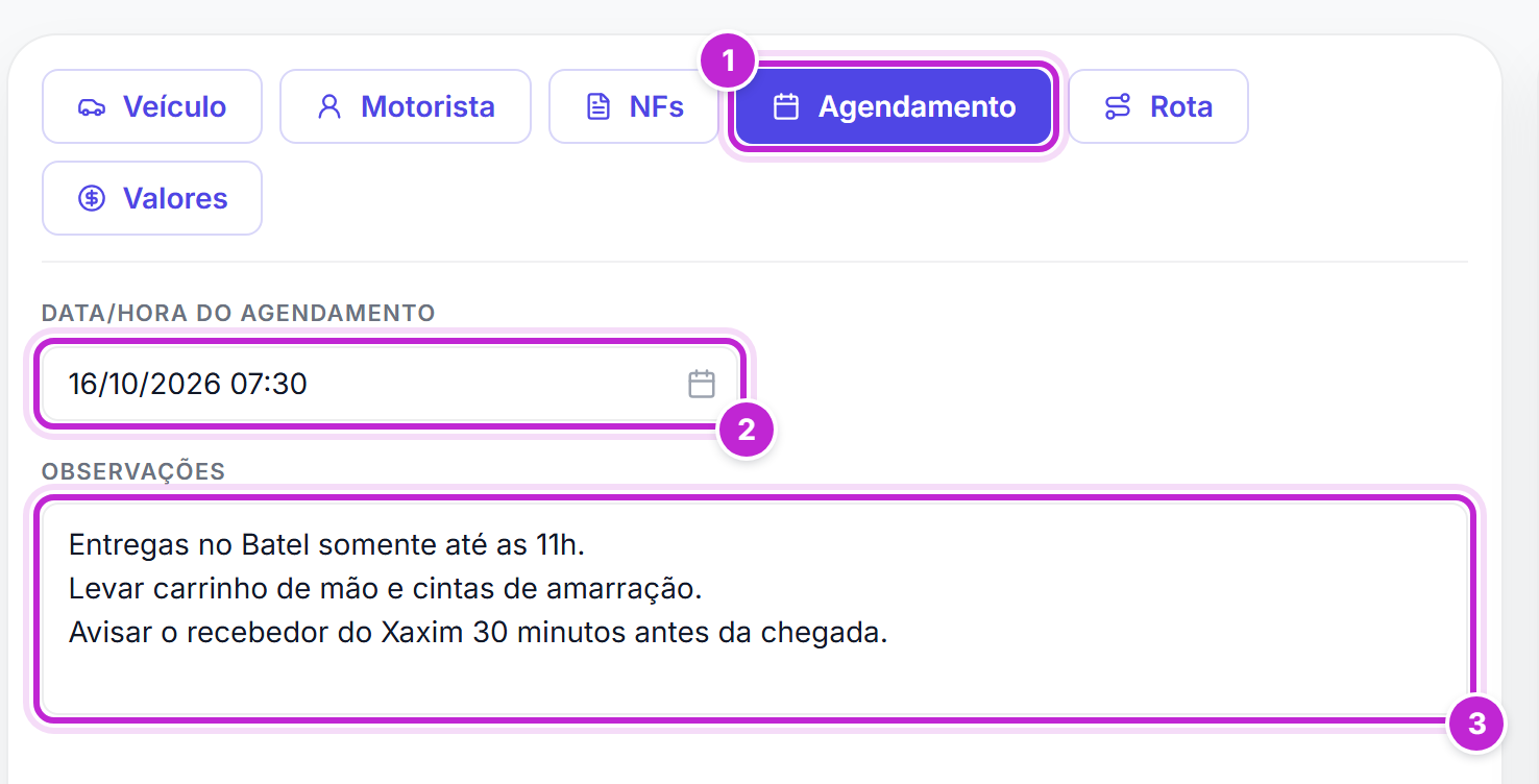 Aba Agendamento com data e hora e observações preenchidos