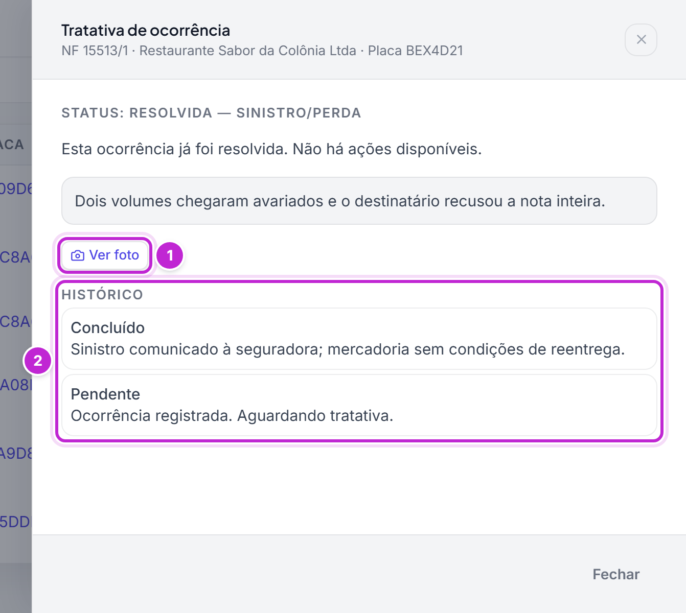 Painel de uma ocorrência resolvida com a descrição, o link Ver foto e o histórico com as etapas Pendente e Concluído